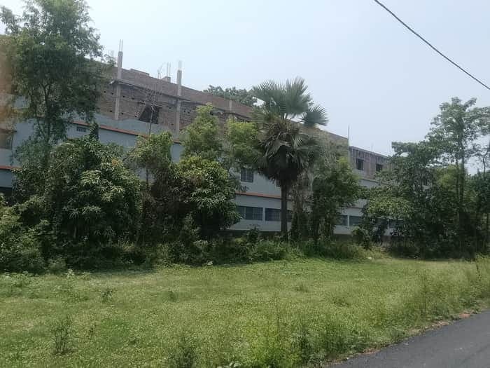 Nice Public School Back View